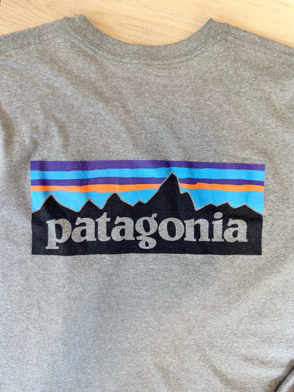 Patagonia 
Heathered gray long sleeve crew neck 
Size: Small